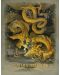 Допълнение за ролева игра Dungeons & Dragons - Player's Handbook 2024 (Alternative Cover) - 3t