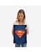 Метален постер Displate - Superman logo - 2t