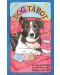 Dog Tarot (78-Card Deck and Guidebook) - 1t