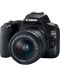 DSLR фотоапарат Canon - EOS 250D, EF-S 18-55mm, черен - 2t