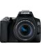 DSLR фотоапарат Canon - EOS 250D, EF-S 18-55mm ST, черен - 1t