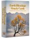 Earth Blessings Oracle Cards - 1t
