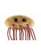 Плюшена играчка E. coli (Escherichia coli) - 3t