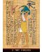 Egyptian Gods Oracle Cards - 4t