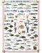 Пъзел Eurographics от 1000 части – Риба, миди и мекотели - 2t