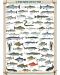 Пъзел Eurographics от 1000 части – Сладководна риба - 2t