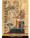 Egyptian Gods Oracle Cards - 2t