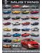 Пъзел Eurographics от 1000 части Вертикален – Развитието на автомобилите Форд Мустанг - 2t
