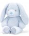 Eкологична плюшена играчка Keel Toys Keeleco - Бебе зайче, синьо, 16 cm - 1t