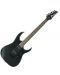 Електрическа китара Ibanez - RG421EX, Black Flat - 4t