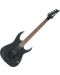 Електрическа китара Ibanez - RGIR30BE, Black Flat - 2t
