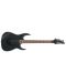 Електрическа китара Ibanez - RG320EXZ, Black Flat - 4t