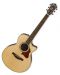 Електро-акустична китара Ibanez - AE205JR Open Pore, Natural - 1t