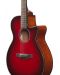Електро-акустична китара Ibanez - AEG51, Transparent Red Sunburst High Gloss - 3t