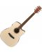 Електро-акустична китара Ibanez - PF10CE Open Pore, Natural - 3t