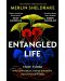 Entangled Life (Paperback) - 1t