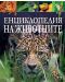 Енциклопедия на животните (тъмносиня корица) - Пан - 1t