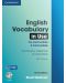 English Vocabulary in Use - ниво Pre-intermediate and Intermediate (книга + CD) - 1t
