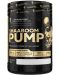 Black Line Shaaboom Pump, fruit massage, 385 g, Kevin Levrone - 1t