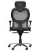 Ергономичен стол Carmen - 7520, черен/сив - 5t