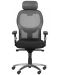 Ергономичен стол Carmen - 7520, черен/сив - 1t