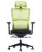 Ергономичен стол RFG - Grove, черен/зелен - 3t