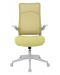 Ергономиочен стол Alexis - White, зелен - 6t