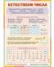 Естествени числа: Учебно табло по математика за 4. клас. Учебна програма 2023/2024 (Рива) - 1t