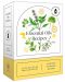 Essential Oils Recipes (52-Card Deck) - 1t