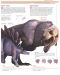 Илюстрована научна енциклопедия Британика: Еволюция и генетика - 6t
