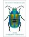 Extraordinary Insects: Weird. Wonderful. Indispensable. The ones who run our world - 1t