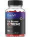 Fat Burner Extreme, 90 капсули, OstroVit - 1t