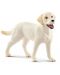 Комплект фигурки Schleich Farm Life Dogs - Разходка с лабрадор ретрийвър - 3t