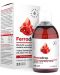 Ferradrop Желязо + Фолиева киселина с витамини С, В6 и В12, 500 ml, Aura Herbals - 1t