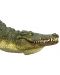 Фигурка Mojo Wildlife - Крокодил с подвижна челюст - 3t