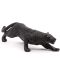 Фигурка Papo Wild Animal Kingdom – Черна пантера - 5t
