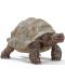 Фигурка Schleich Wild Life - Гигантска костенурка - 1t