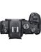 Фотоапарат Canon - EOS R6, черен + Обектив Canon - RF, 15-30mm, f/4.5-6.3 IS STM - 4t