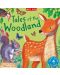 Four Nature Stories to Share: Tales of the Woodland - 1t