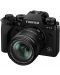 Фотоапарат Fujifilm - X-T4, обектив XF 18-55mm f/2.8-4, черен - 2t