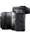 Фотоапарат Canon - EOS R100, RF-S 18-45mm, f/4.5-6.3 IS STM, Black + Обектив Canon - RF, 15-30mm, f/4.5-6.3 IS STM - 8t