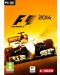 F1 2014 (PC) - 1t