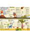 Fold-Out Timeline of Planet Earth - 3t