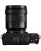 Фотоапарат Panasonic - Lumix S9, Lumix S 20-60mm f/3.5-5.6, черен - 10t