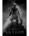 Макси плакат GB Eye Games: Skyrim - Dragonborn - 1t