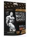 Metabolic Mass Gainer, шоколад, 6000 g, Dorian Yates Nutrition - 2t