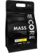 Core Mass, шоколад, 3 kg, FA Nutrition - 1t