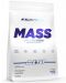 Mass Acceleration, chocolate cookies, 1000 g, AllNutrition - 1t