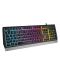 Гейминг клавиатура Genesis - Rhod 300, RGB, черна - 2t