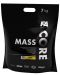 Core Mass, ягода, 7 kg, FA Nutrition - 1t